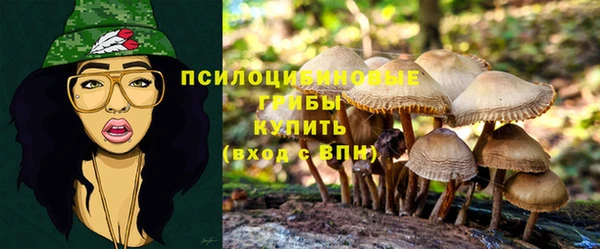 Альфа ПВП Заводоуковск