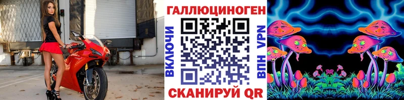 Псилоцибиновые грибы Psilocybine cubensis  Ивдель 
